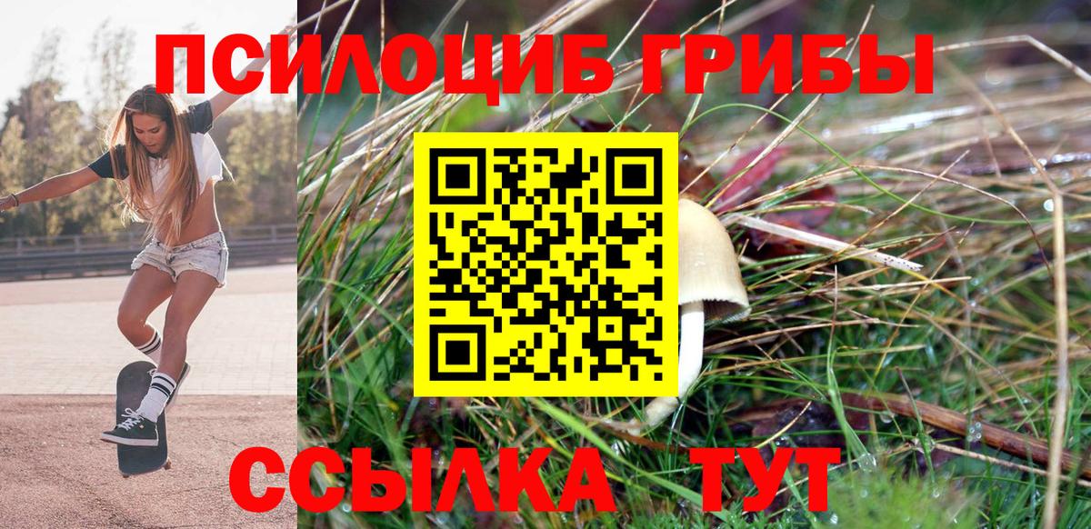 Псилоцибиновые грибы прущие грибы Удомля